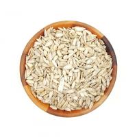 مغز آفتاب گردان خام