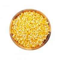 دانه ذرت 250 گرمی