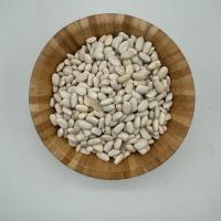 لوبیا سفید پانصد گرمی