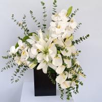 باکس گل واترفال