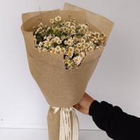 دسته گل نسیم بابونه