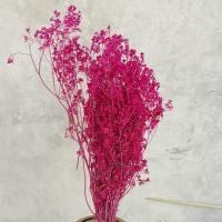 گل خشک سبزه ریزه صورتی