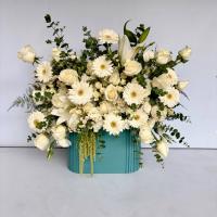 باکس گل سپندار