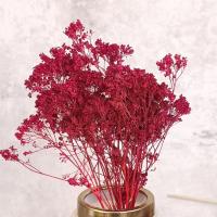 گل خشک سبزه ریزه قرمز