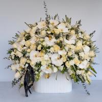 باکس گل کاملیا