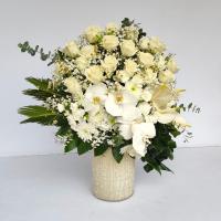 جام گل پالادیوم