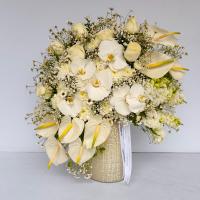 جام گل لاماسیا