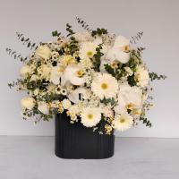 باکس گل اپرا وایت الگانس