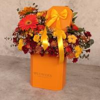 باکس گل نارنجستان