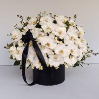 باکس گل فول ارکیده