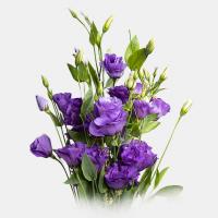 دسته گل لیسنتوس بنفش