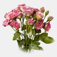 دسته گل رز مینیاتوری صورتی - گل فروشی شهر گل (شعبه ی مرکزی)