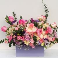 باکس گل پولیانتا