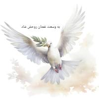 کارت پستال به وسعت غمتان روحش شاد