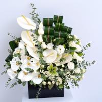 باکس گل پروجا