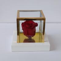 رز جاودان قرمز درب شیشه ای