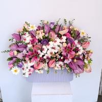 باکس گل وی آی پی 2