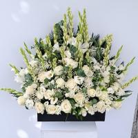 باکس گل آسمانه