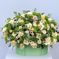 باکس گل پولسکا گرین