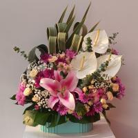 باکس گل مهربانو