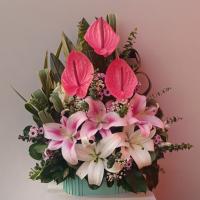 باکس گل خاتون