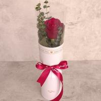 بوکت تک شاخه رز