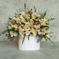 باکس گل میامی