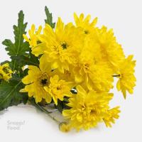 دسته گل داوودی زرد