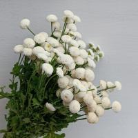 دسته گل مخلصه