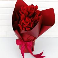 گلدان یشم یا کراسولا قرمز سوپر