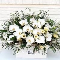 باکس گل طاها