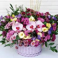 سبد گل آمیتیس