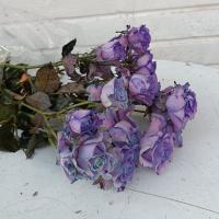دسته گل رز مینیاتوری بنفش