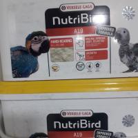 سرلاک پرندگان ورسل لاگا A19