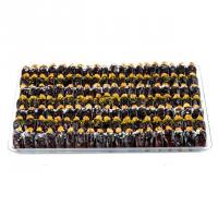 خرما گردویی بزرگ