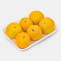 لیمو شیرین اقتصادی