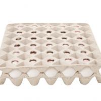 تخم مرغ مروارید