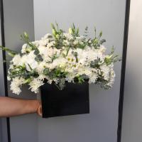 با‌کس هامون ابعاد ۳۵*۲۵ سانتی متری