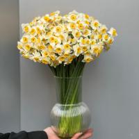 شیشه گل پارمیدا