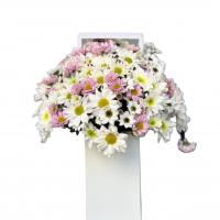 باکس گل ماهچره