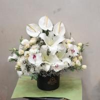 باکس ترحیم