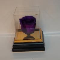 شاخه گل رز جاودان