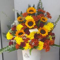 باکس پائیزه