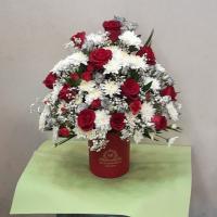 باگس آی ناز