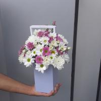 باکس مرولین ۲