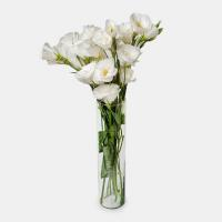 دسته گل لیسیانتوس سفید 1 دسته (5 شاخه)