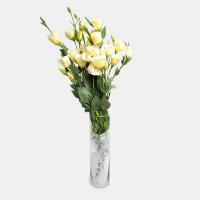 دسته گل لیسیانتوس نباتی 1 دسته (5 شاخه)