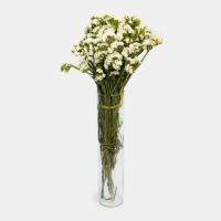 دسته گل زنبوری سفید 1 دسته (5 شاخه)