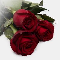 دسته گل رز قرمز 1 دسته (9 شاخه ای)