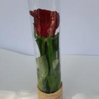 شیشه گل رز یک شاخه